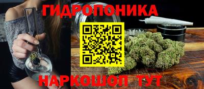 мяу мяу мука Краснознаменск