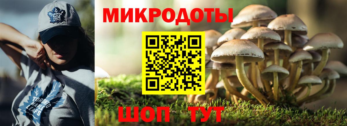 Галлюциногенные грибы Cubensis Нефтеюганск