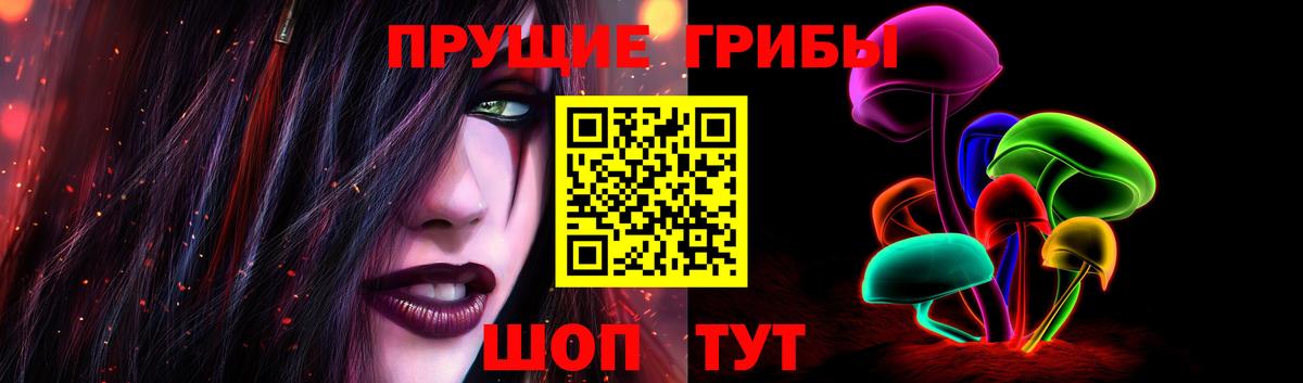 магазин продажи   Вход с VPN  Галлюциногенные грибы Psilocybine cubensis  Нефтеюганск  Галлюциногенные грибы Psilocybe 